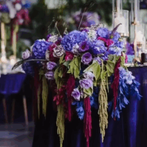 Purple Arrangements